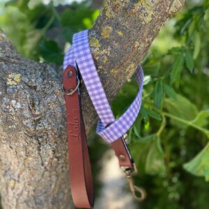 Correa para Perros Bimba