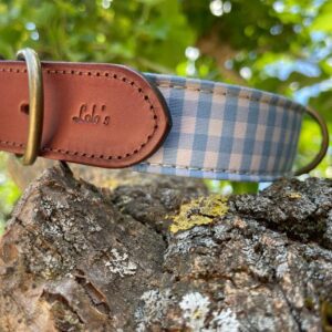 Collar para Perros Lolo