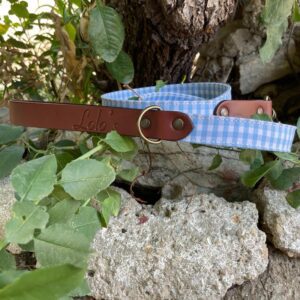 Correa para Perros Lolo