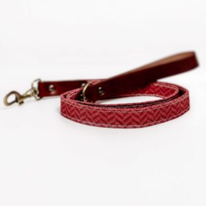 Correa para Perros Merlot