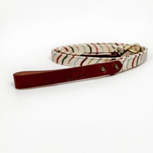 Correa para Perros Aqua