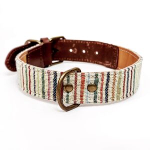 Collar para Perros Arena