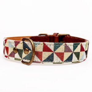 Collar para Perros Fantasía