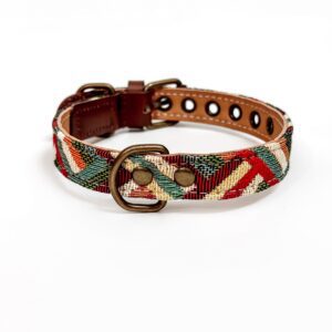 Collar para Perros Green - S