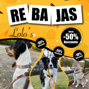 Imagen del Producto Popup rebajas