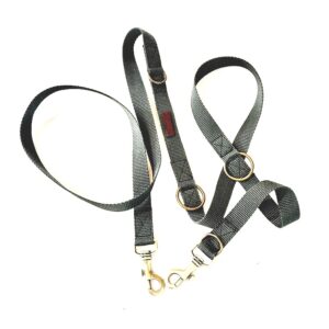 Correa para Perros Multiposición Gris Marengo