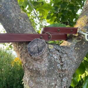 Correa para Perros de piel costura beige