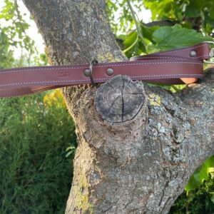 Correa para Perros de piel costura azul y blanca