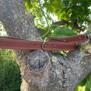 Correa para Perros de piel costuras naranja y verde