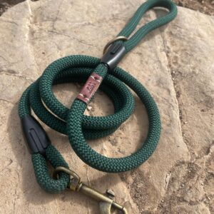 Correa de cuerda para perro Green