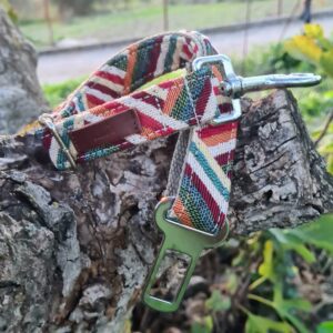 Cinturón De Seguridad para Perros Green