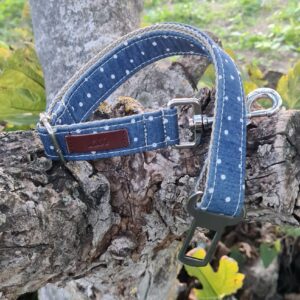 Cinturón de seguridad para coche