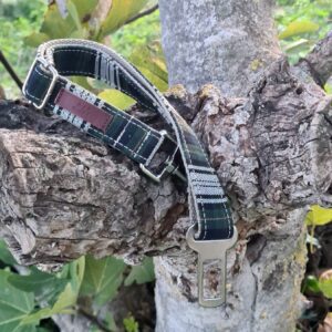 Cinturón De Seguridad para Perros Kilt