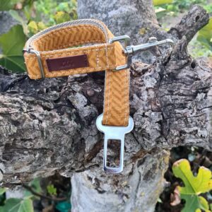 Cinturón De Seguridad para Perros Gold