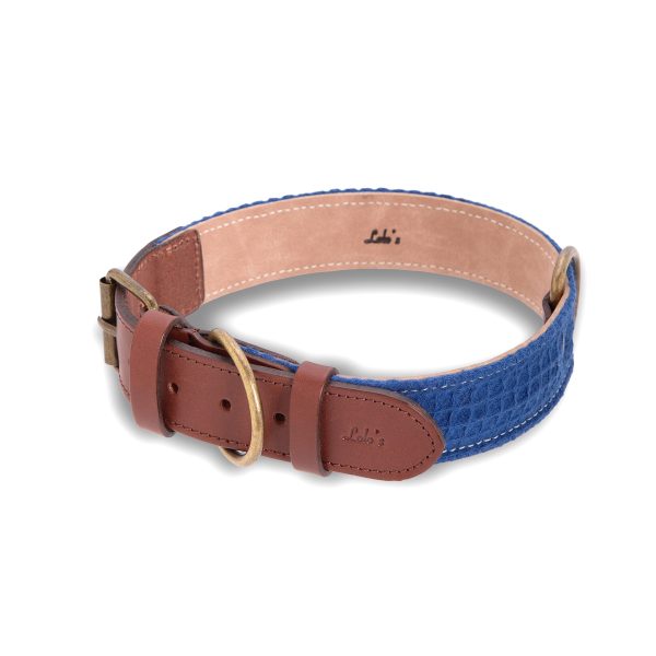 Imagen del Producto Collar para perros modelo klein 4
