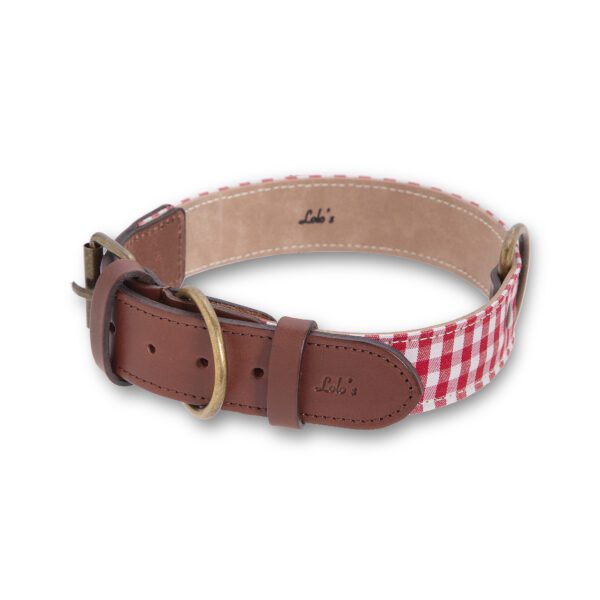 Imagen del Producto Collar para perros modelo red 4