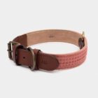 Imagen del Producto Collar para perros modelo rosse 10