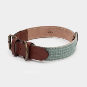 Imagen del Producto Collar para perros modelo sky 10
