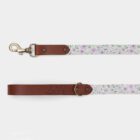 Imagen del Producto Correa para perros modelo iris 13