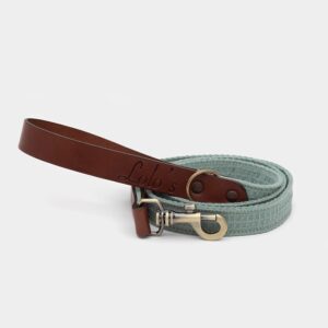 Imagen del Producto Correa para perros modelo sky 12