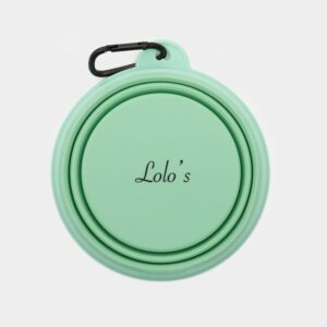 Imagen del Producto Bebedero portatil para perros modelo spring