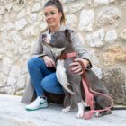 Imagen del Producto Collar para perros modelo rosse 18