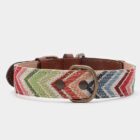 Imagen del Producto Collar para perros modelo ziggy 1