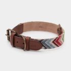 Imagen del Producto Collar para perros modelo ziggy