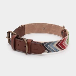 Imagen del Producto Collar para perros modelo ziggy