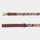 Imagen del Producto Correa para perros modelo ziggy 1