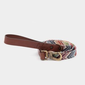 Imagen del Producto Correa para perros modelo ziggy