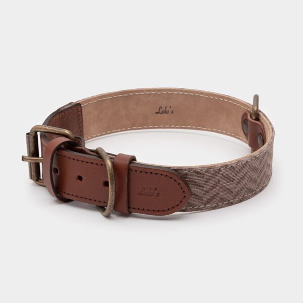 Imagen del Producto Collar para perros modelo fali