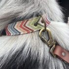 Imagen del Producto Collar para perros modelo ziggy 2