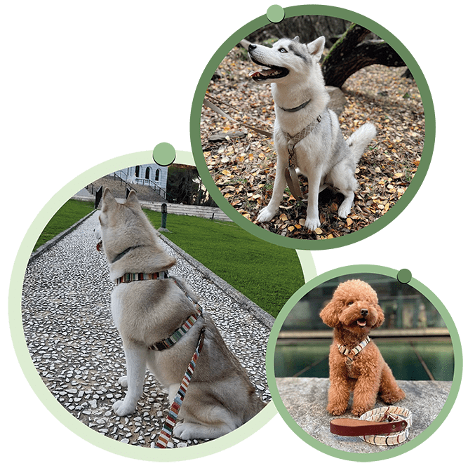 Imagen del Producto Imagen sobre nosotros