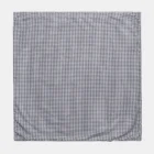 Imagen del Producto Manta para perros modelo black 3