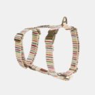 Imagen del Producto Arnes para perros modelo arena