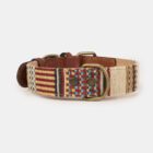 Imagen del Producto Collar para perros siena 1