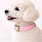 Imagen del Producto Modelo collar cloe