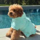 Imagen del Producto Albornoz para perros modelo jade 2