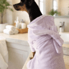 Imagen del Producto Albornoz para perros modelo zoe 2