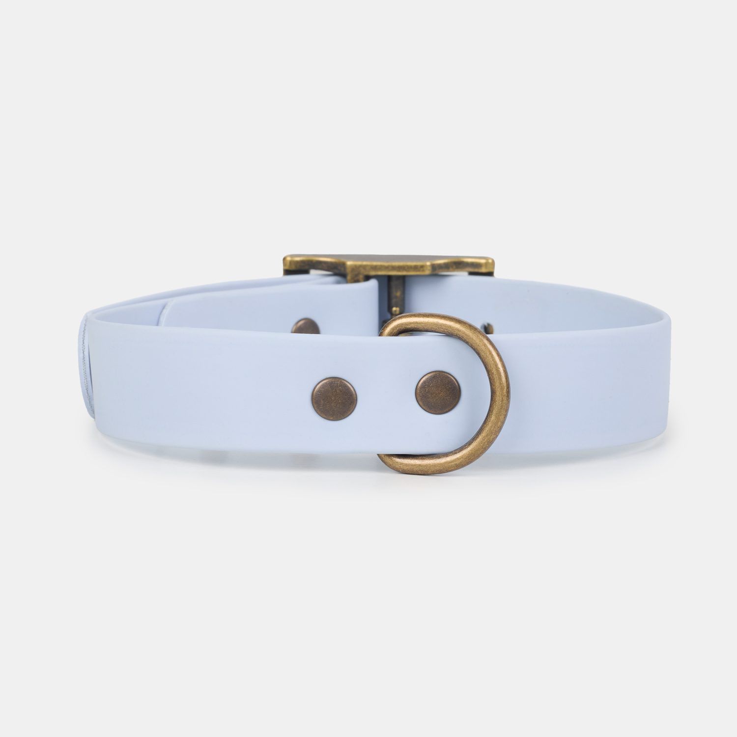 Imagen del Producto Collar para perros modelo baltic 1