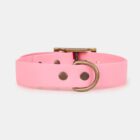 Imagen del Producto Collar para perros modelo cleo 1