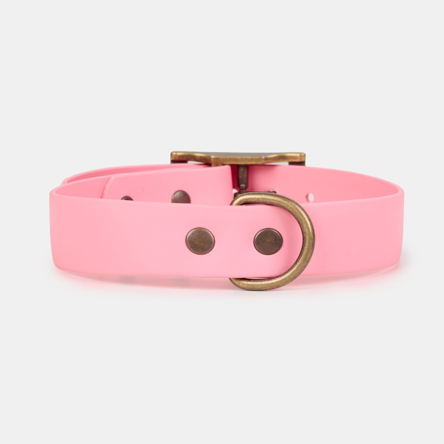 Imagen del Producto Collar para perros modelo cleo 1