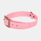 Imagen del Producto Collar para perros modelo cleo