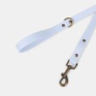 Imagen del Producto Correa para perros modelo baltic 1