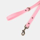 Imagen del Producto Correa para perros modelo cleo 1