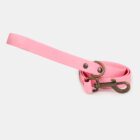 Imagen del Producto Correa para perros modelo cleo