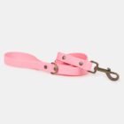 Imagen del Producto Correa para perros modelo cleo 2