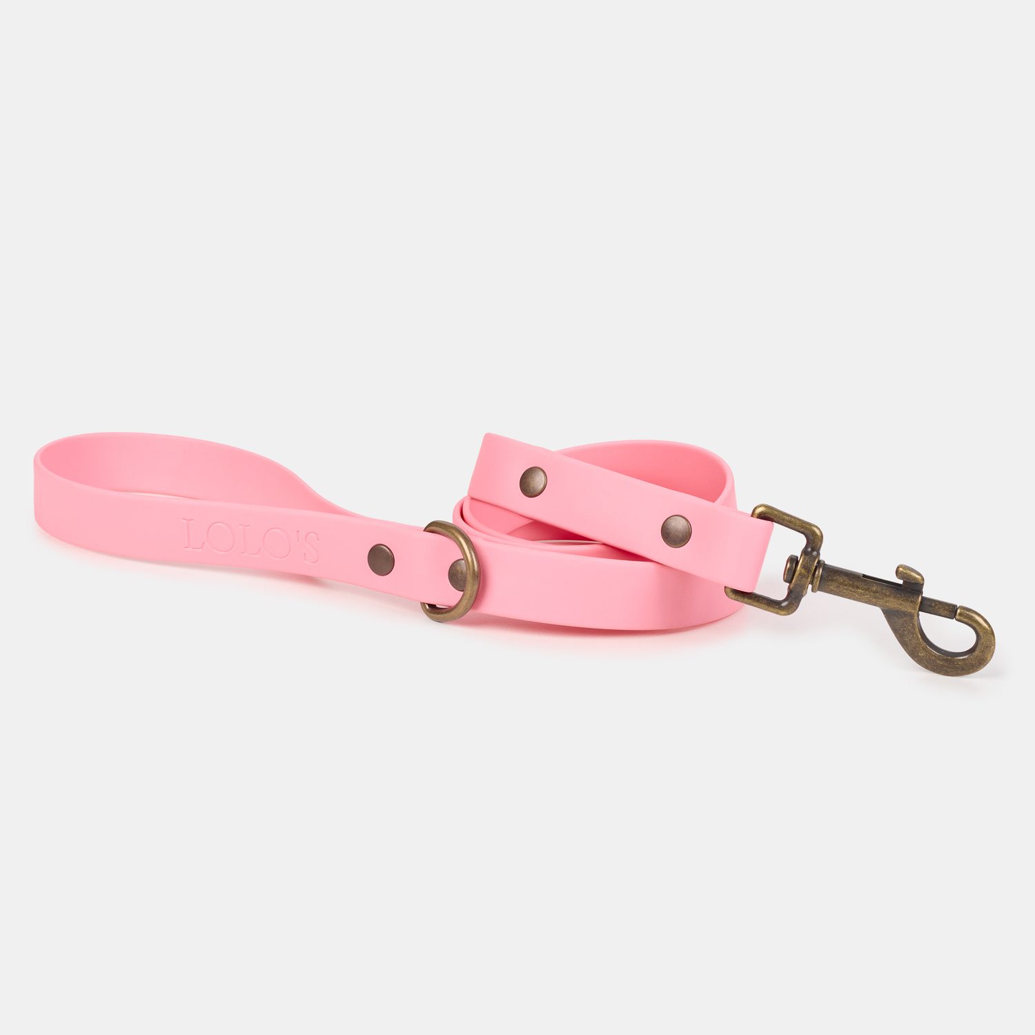 Imagen del Producto Correa para perros modelo cleo 2