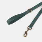 Imagen del Producto Correa para perros modelo forest 1